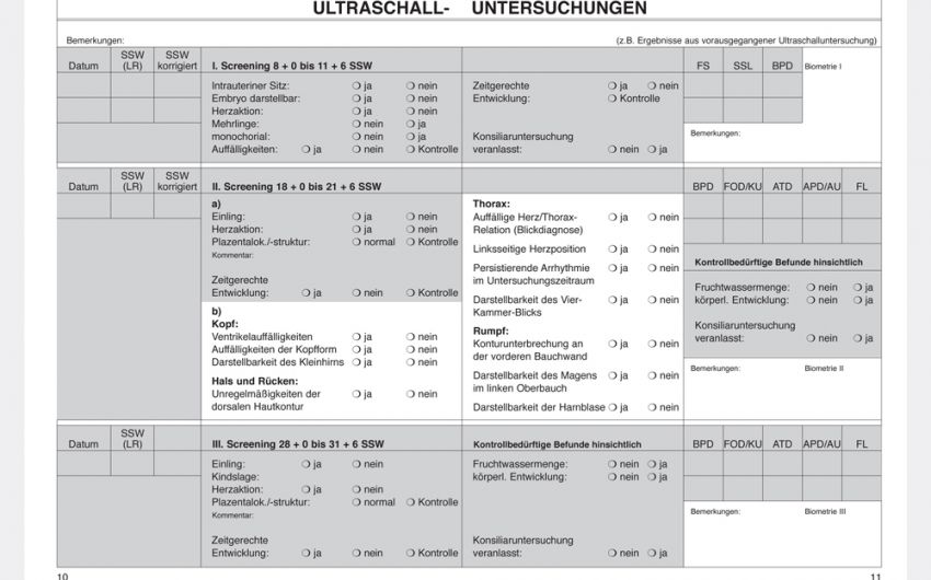 Mutterpass Seite 10 und 11