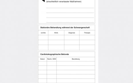 Der Mutterpass Angaben Zu Vorangegangenen Schwangerschaften