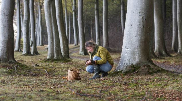 Eine Frau sammelt im Wald Pilze.