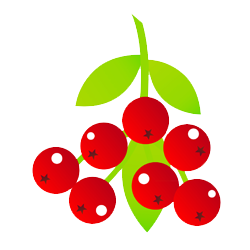 Preiselbeeren