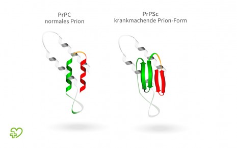 Schematische Darstellung von Prionen