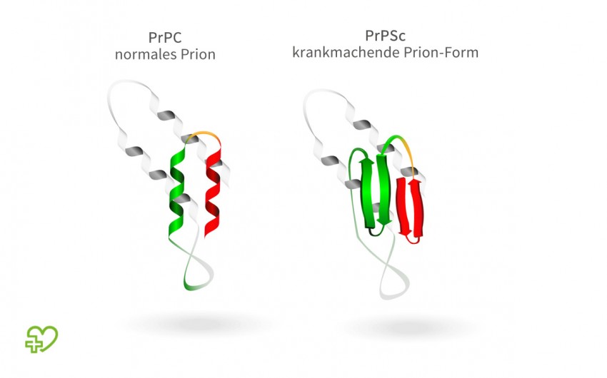 Schematische Darstellung von Prionen