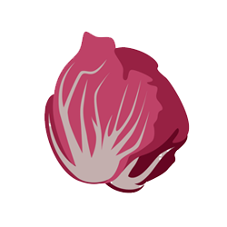 Radicchio