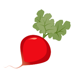 Radieschen