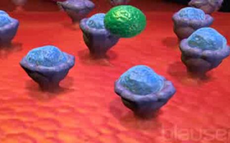 Antihistaminika Video