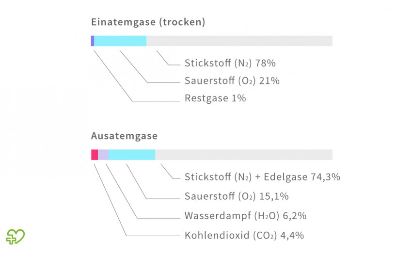 Die Grafik zeigt die Prozentwerte der Anteile von Suaerstoff, Kohlendioxid, Stickstoff und Wasserdampf der Ein- und Ausatemluft.