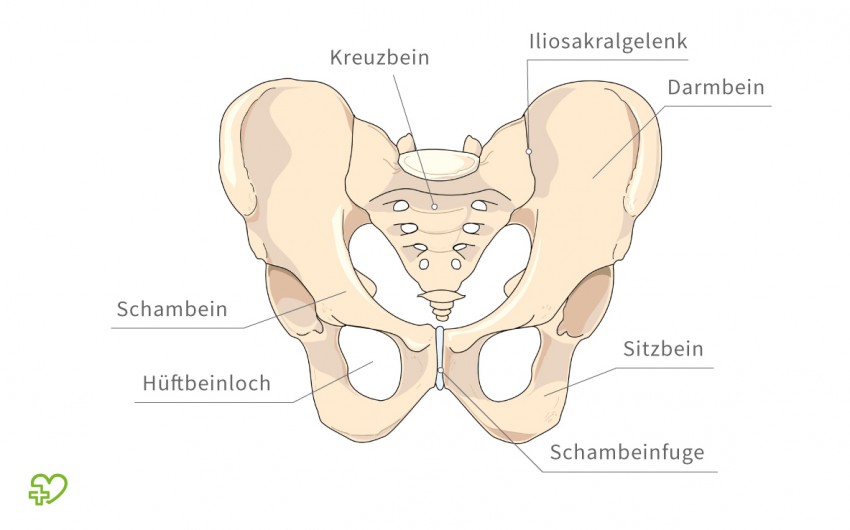 Symphysenlockerung In Der Schwangerschaft Onmeda De