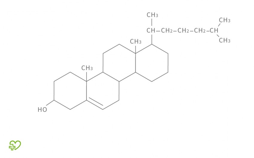 Strukturformel für Cholesterol