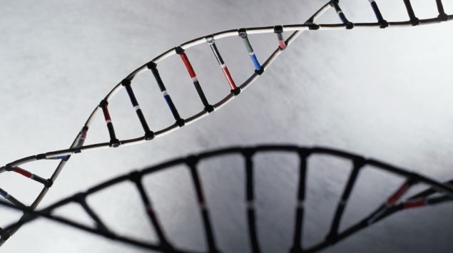 Modell der DNA-Helix