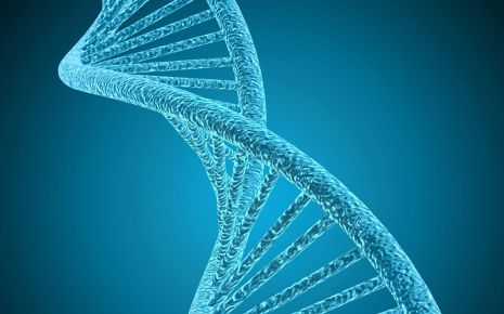 Man sieht eine blaugefärbte DNA-Doppelhelix