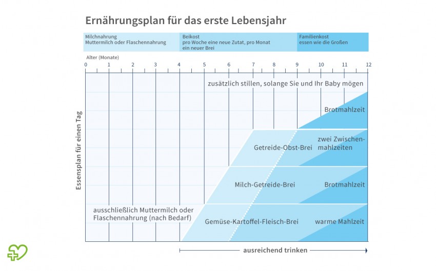 Gesunde Ernahrung Furs Baby Onmeda De