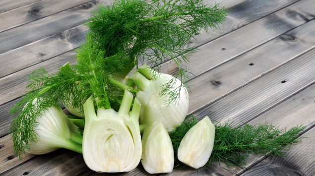 Das Bild zeigt Fenchel.