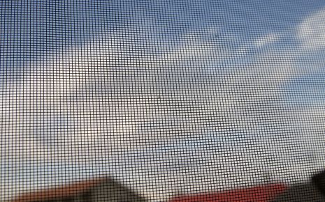 Mücken und Mückenstiche: Man sieht ein Fliegengitter vor einem Fenster.