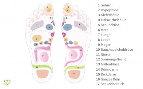 Eine grafische Abbildung der Fußreflexzonen.
