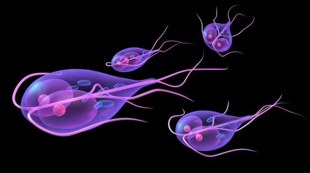 giardia este ideea ta de latență