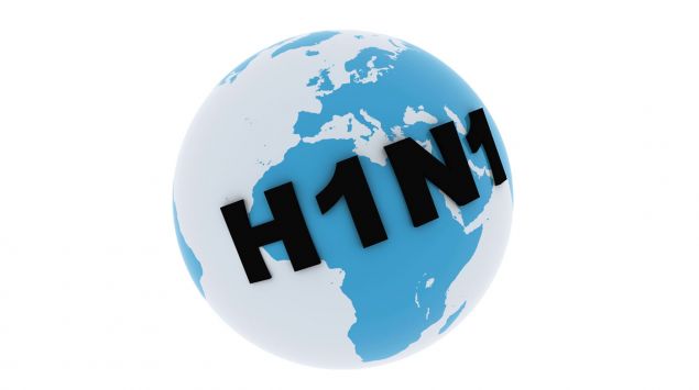 Man sieht einen Globus mit dem Schriftzug H1N1.
