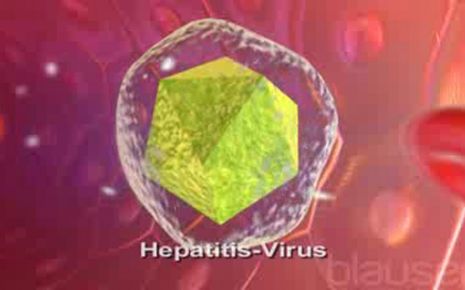 Hepatitis Video