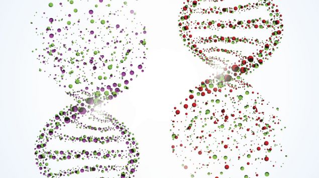 Das Bild zeigt DNA-Stränge