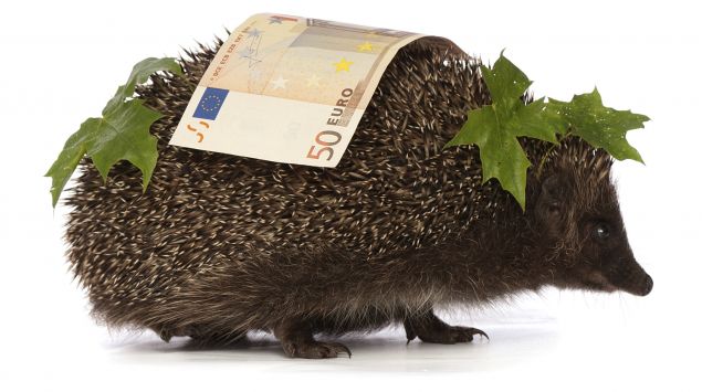Ein Igel trägt einen 50-Euro-Schein auf dem Rücken.