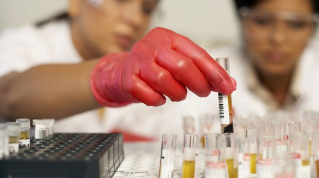 Zwei Frauen arbeiten in einem Labor.