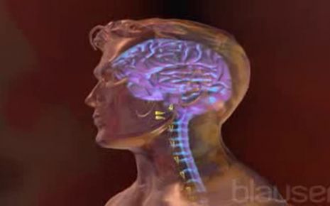 Meningitis Video