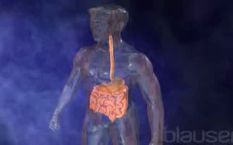 Probiotika Video