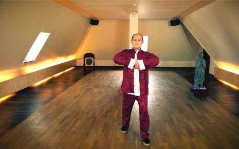 Qigong Übung 1.1 Video