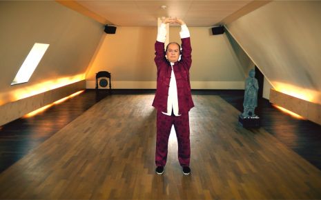Qigong Übung 1.2 Video