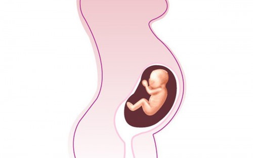 Ertasten frühschwangerschaft gebärmutter Gebärmutter Schwangerschaft