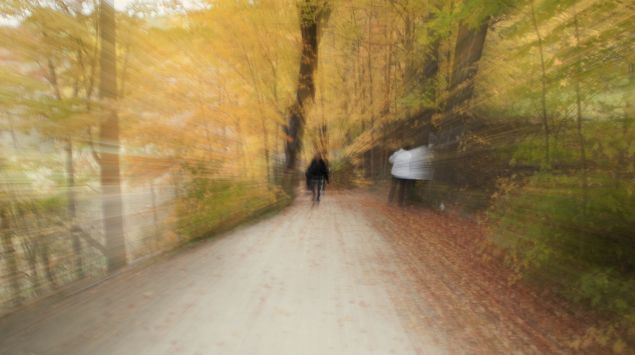 Das Bild zeigt eine verzerrte Darstellung eines Waldes.