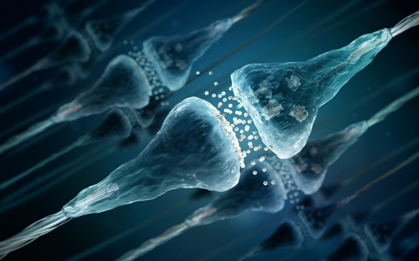 Restless-Leges-Syndrom: Man sieht, wie Nervenzellen über den Austausch von Neurotransmittern an den Synapsen Signale austauschen.