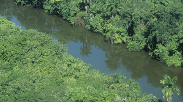 Das Bild zeigt einen Fluss im Amazonasgebiet.