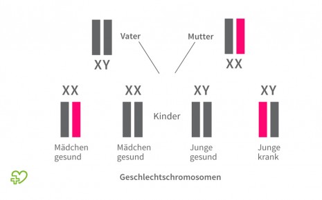 X-chromosomal-rezessive Vererbung